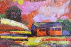 CHICKEN HOUSE  12x12