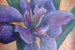 IRIS 16x12 (Sold)