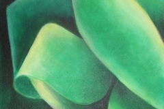 OUTRAGEOUS ROSE 20x16